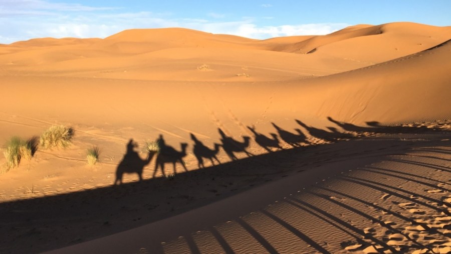 Dukettes Marrakech.jpg